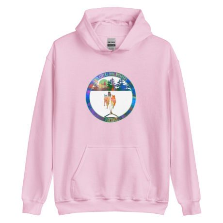 unisex-heavy-blend-hoodie-light-pink-front-63900585be81b.jpg