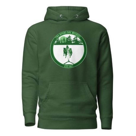 unisex-premium-hoodie-forest-green-front-63903521aebf2.jpg