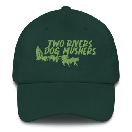 classic-dad-hat-spruce-front-63fc1bb1411f8.jpg