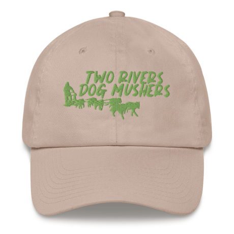 classic-dad-hat-stone-front-63fc1bb141890.jpg