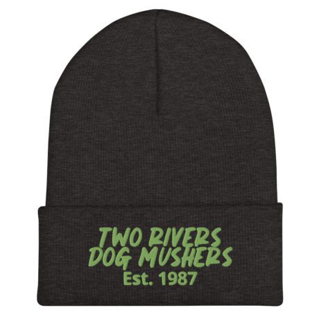 cuffed-beanie-dark-grey-front-63fc1e2d471ef.jpg
